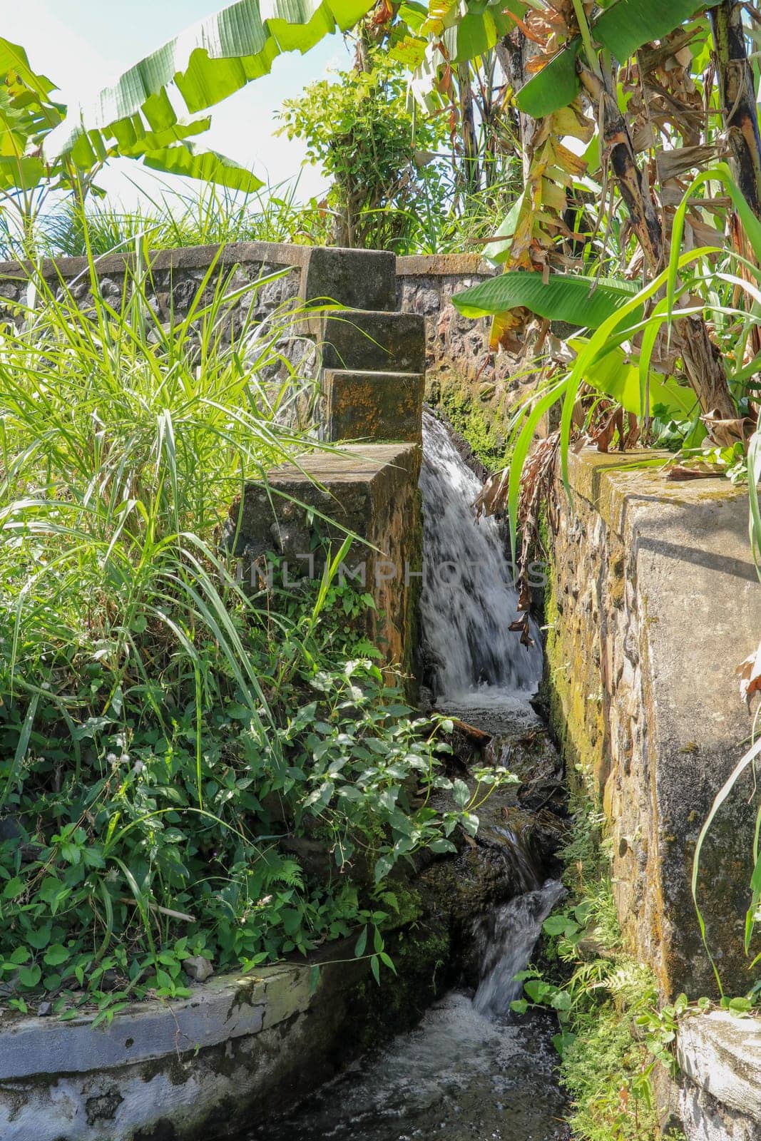 Water drainage for irrigation of rice fields.
