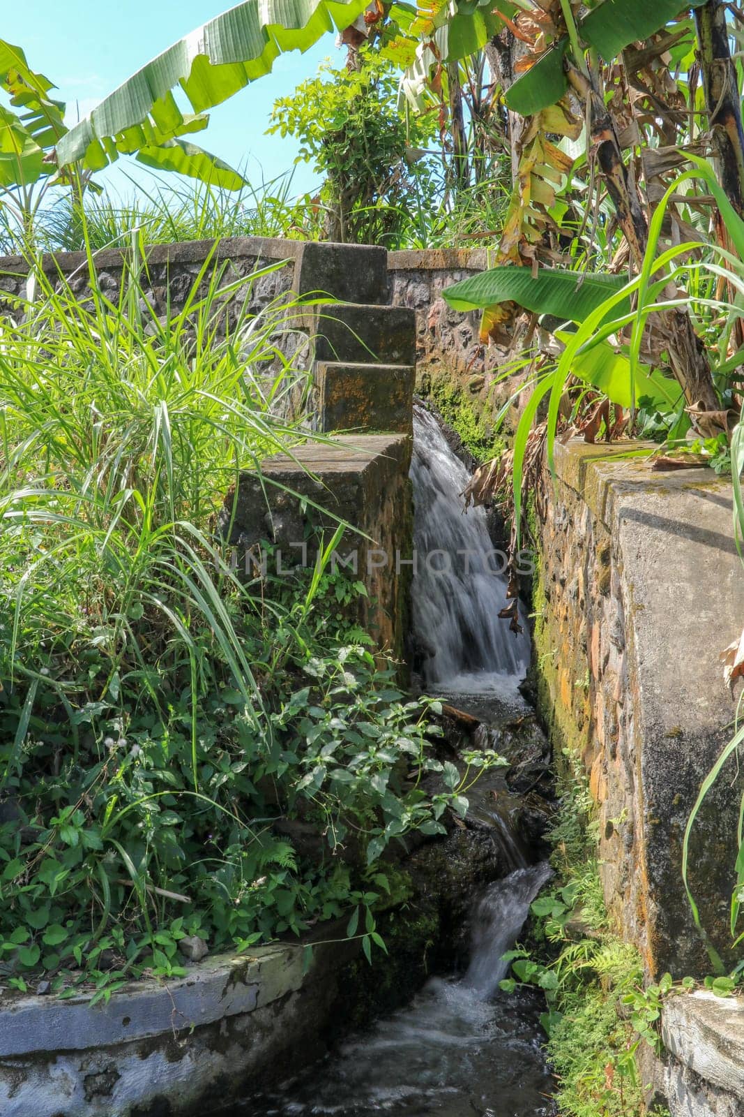 Water drainage for irrigation of rice fields.