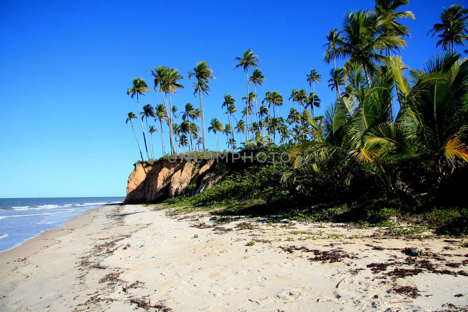 prado, bahia / brazil - julu 18, 2008: view of the beach in the Corumbau region in the municipality of Prado.