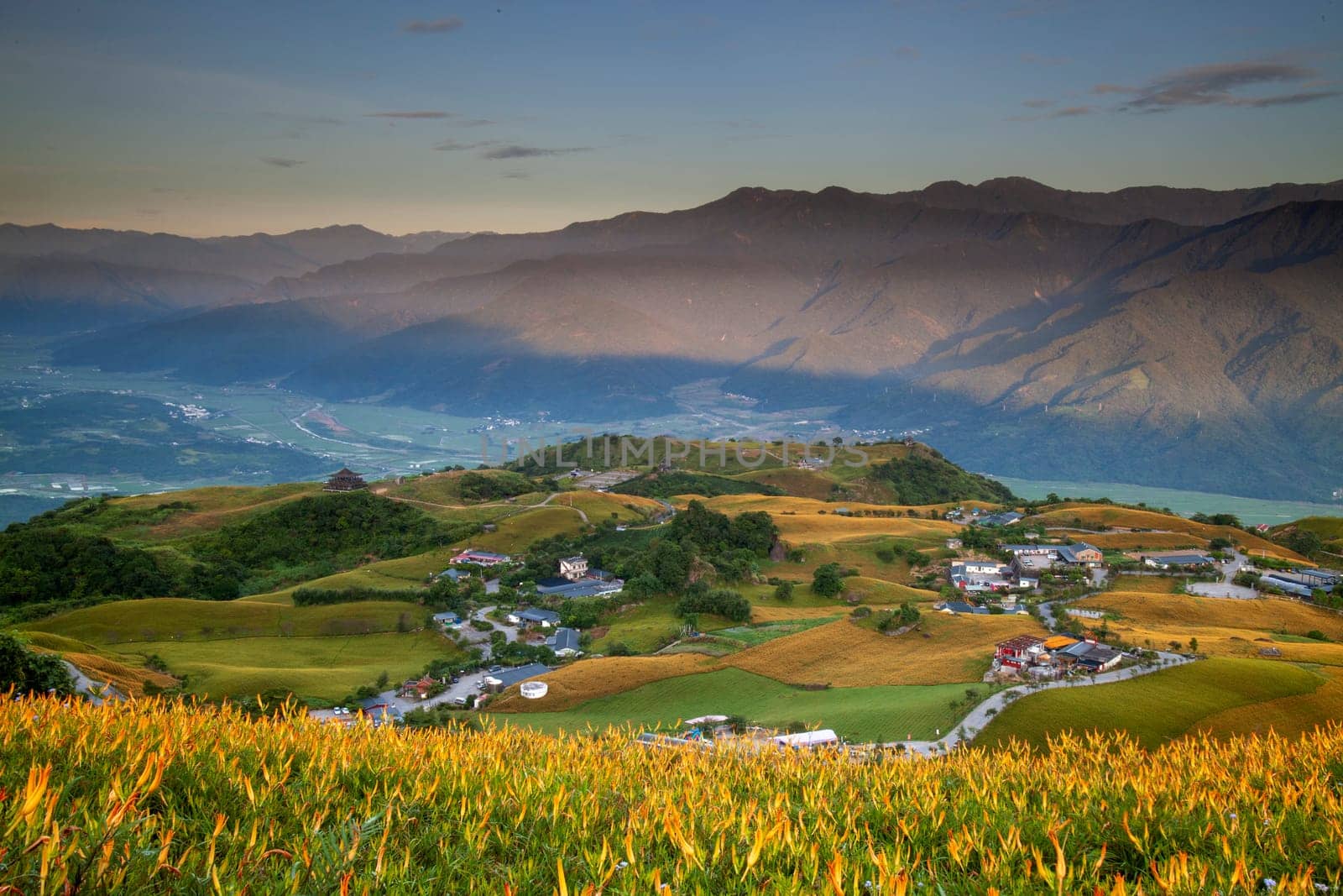 The Aerial view of the famous and beautiful Daylily flower at sixty Stone Mountain in Hualien Taiwan
