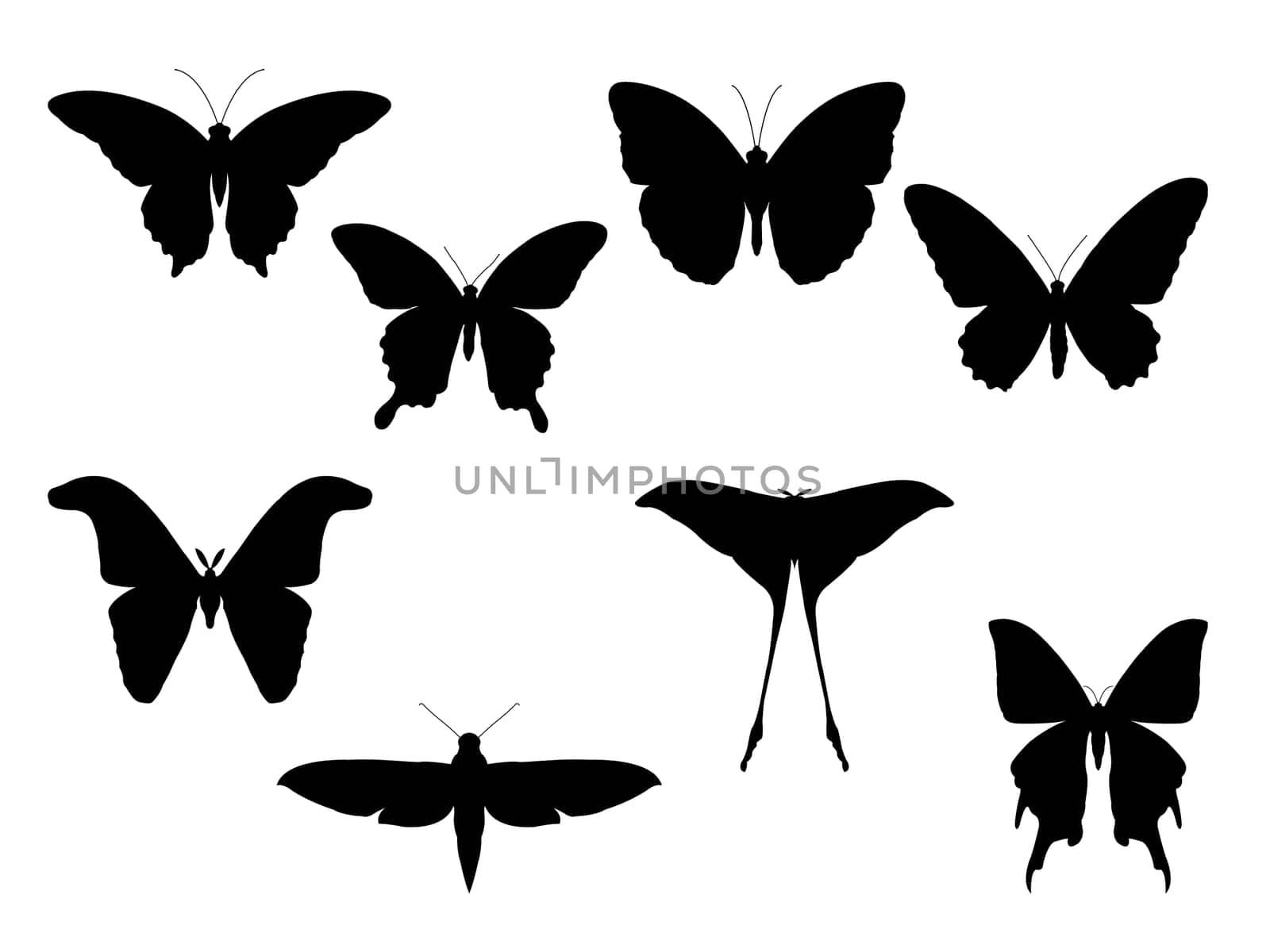 Set of moth and butterflies silhouettes vector illustration isolated on white