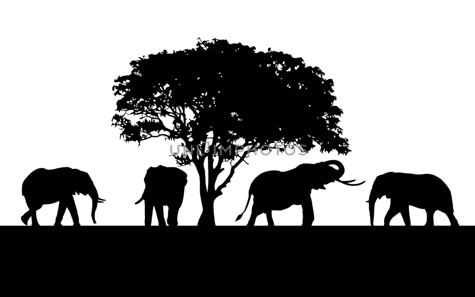 Wild animals black silhouettes, Vector illustration isolated on white