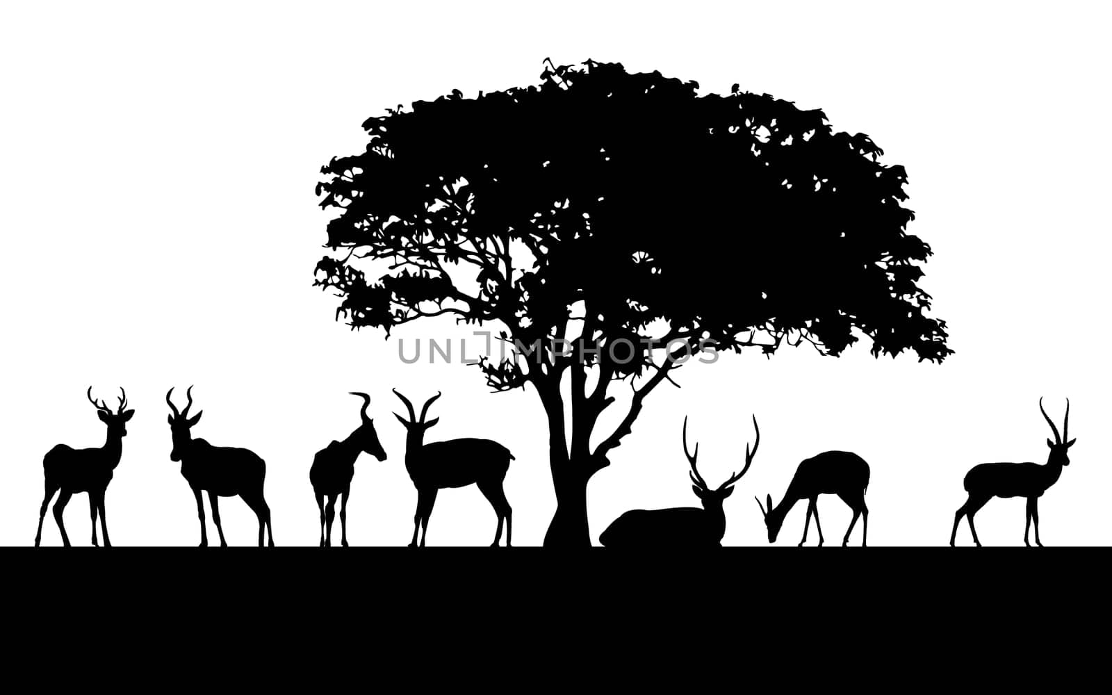 Wild animals black silhouettes, Vector illustration isolated on white