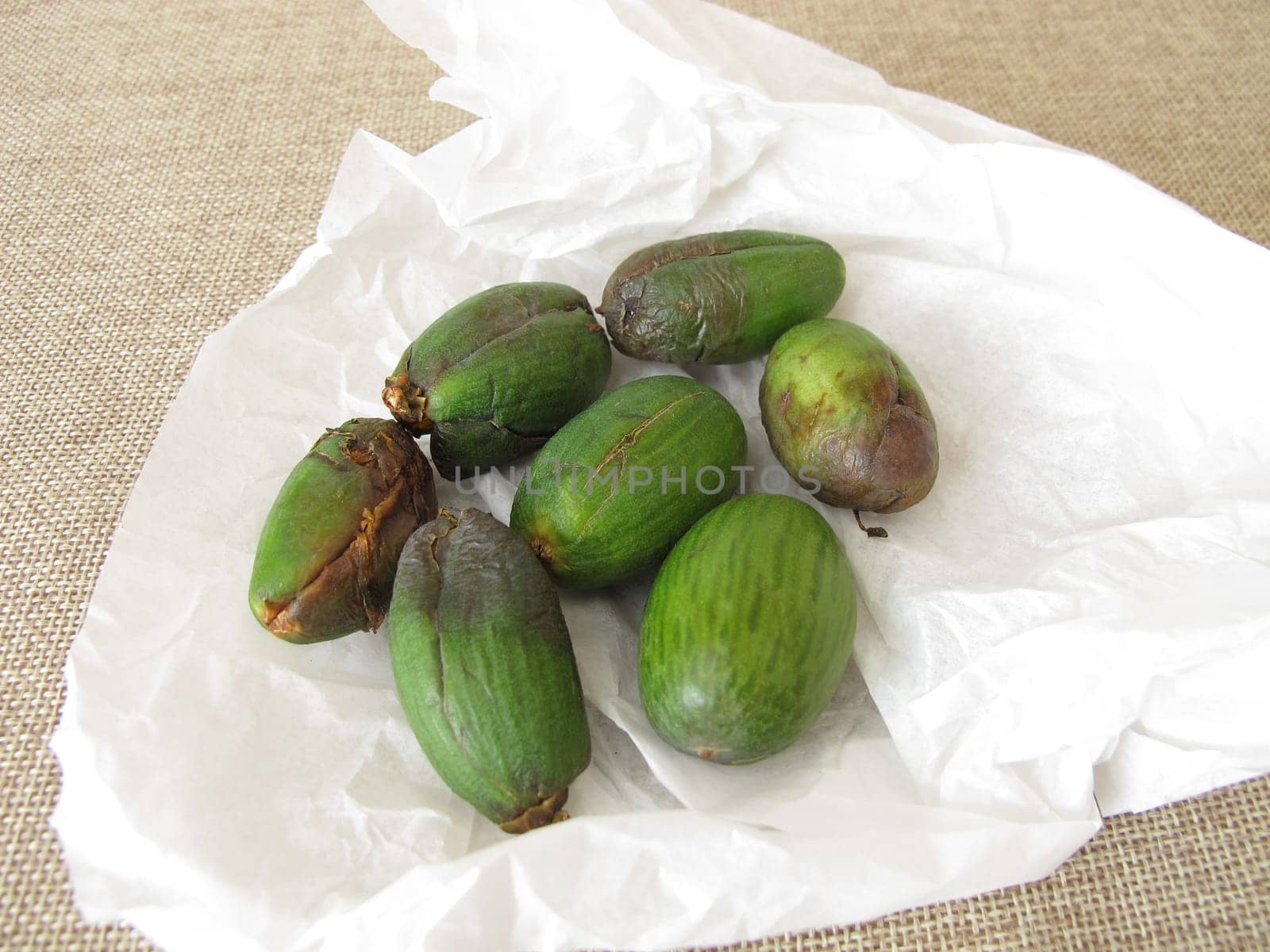 Fruits or seeds of the Japanese torreya, Torreya nucifera