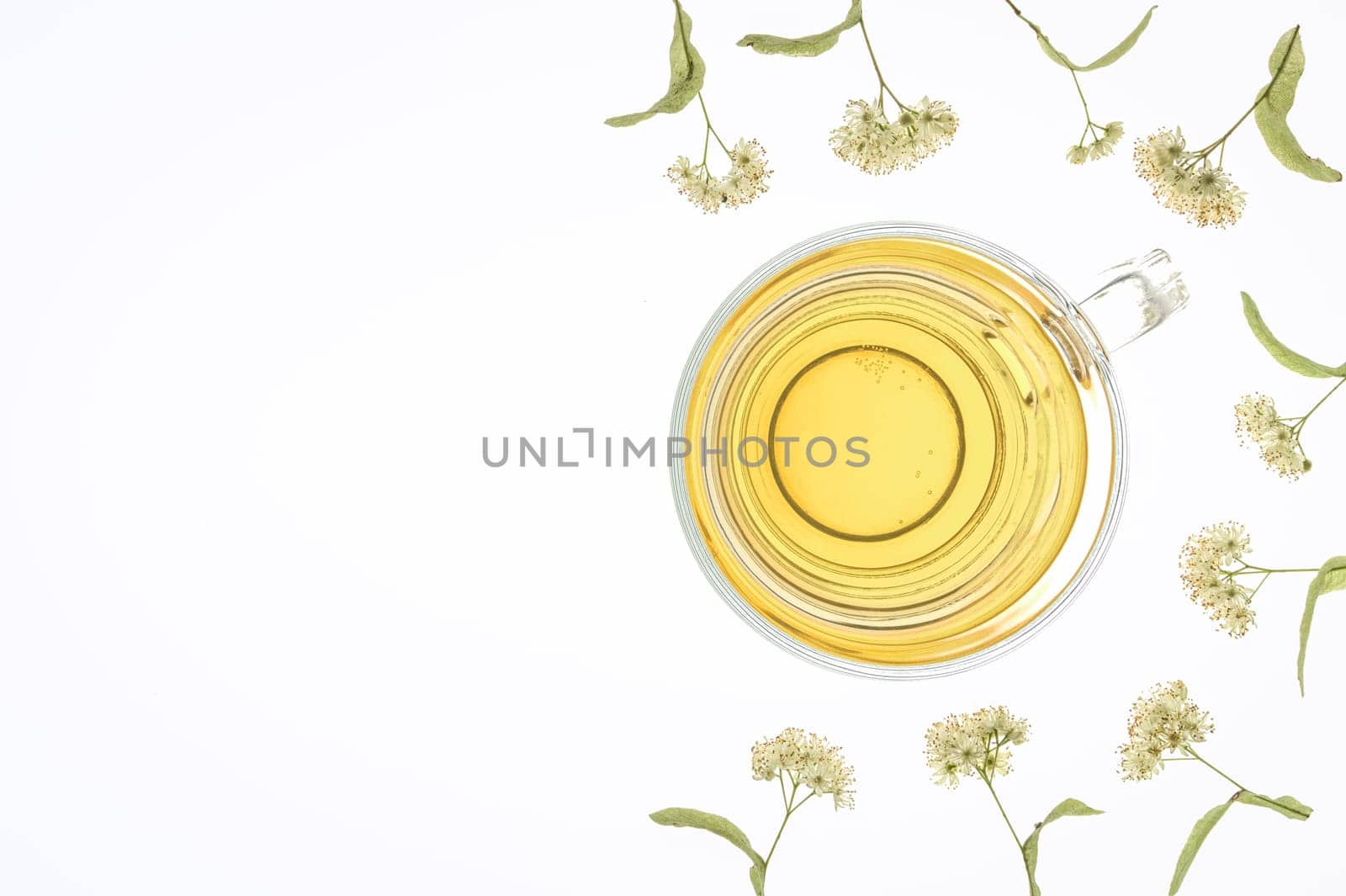 Glass of lime blossom tea with fresh blossoms. Flat layed and isolated on a white background, backlit on a light table. With much copy space.