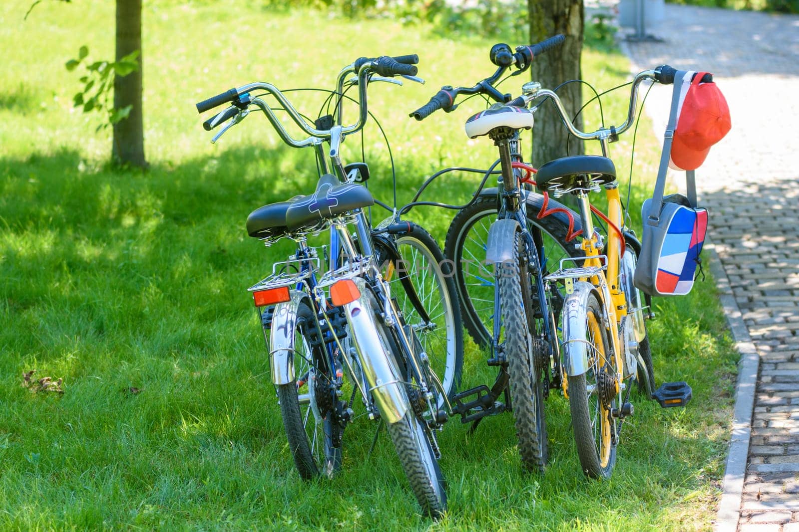 four bikes of different sizes standing on the lawn in the park