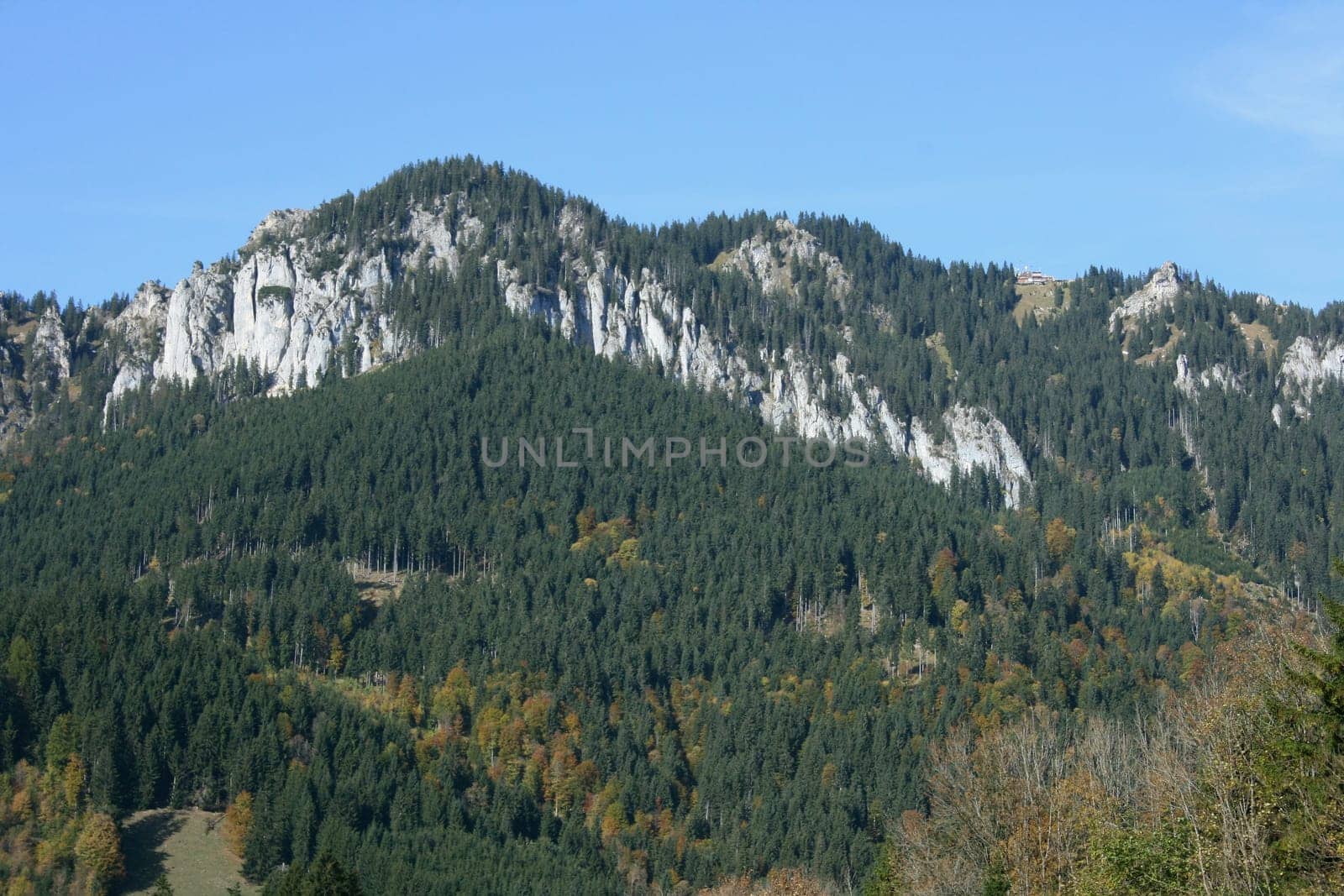 Alpine summits covered with snow, blue sky in the background .