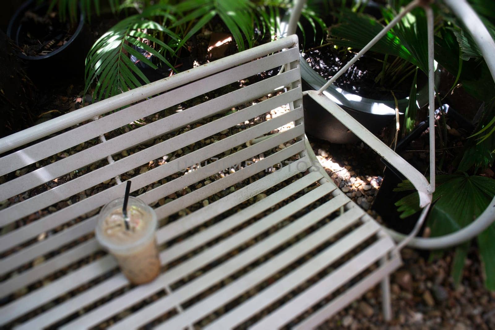 Iced coffee drink in resort garden, stock photo