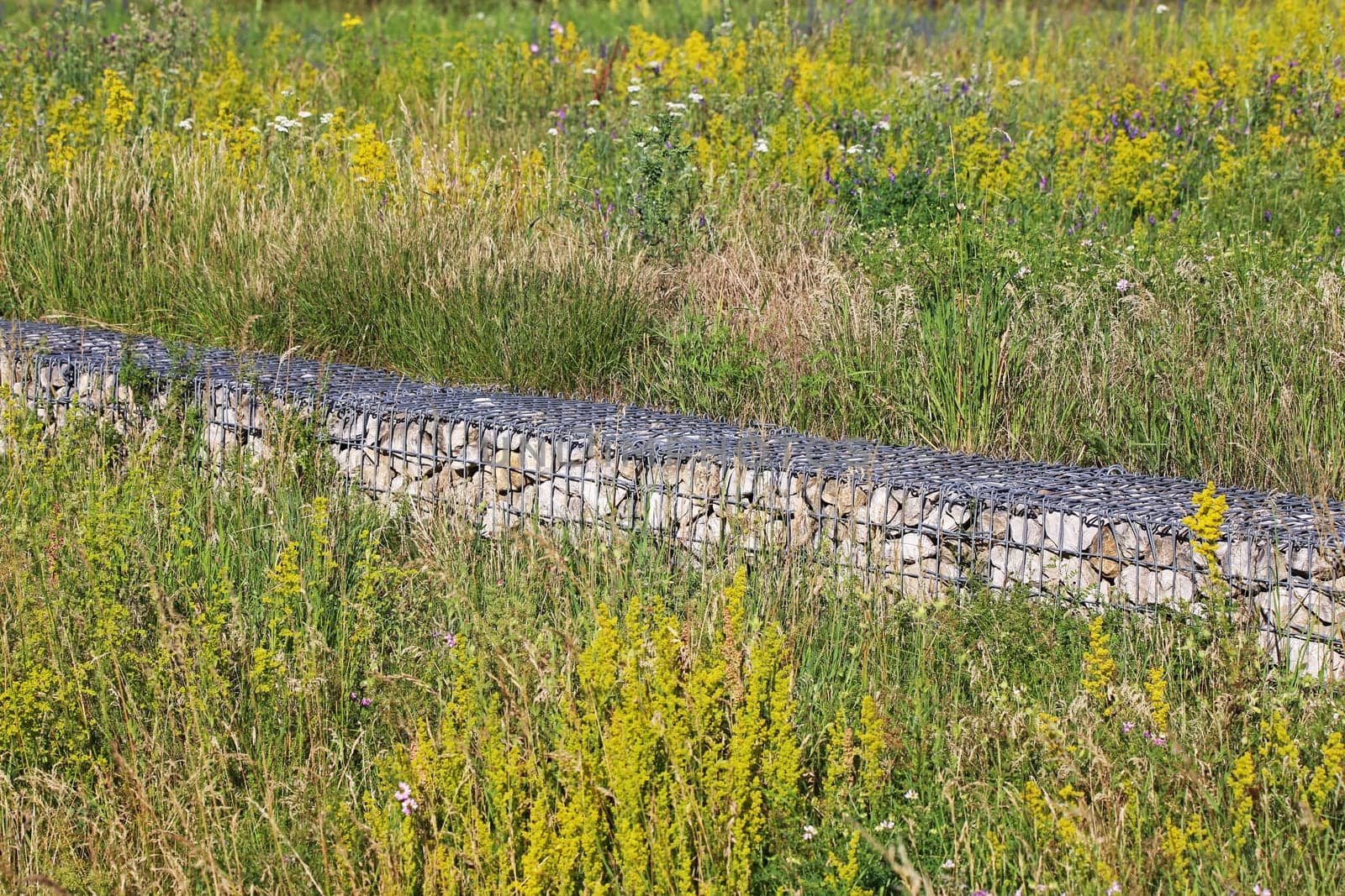 Modern dry stone wall on lean meadow