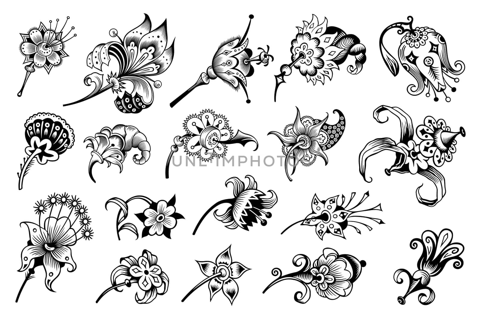 Floral hand drawn vector vintage engraved nature elements and objects set