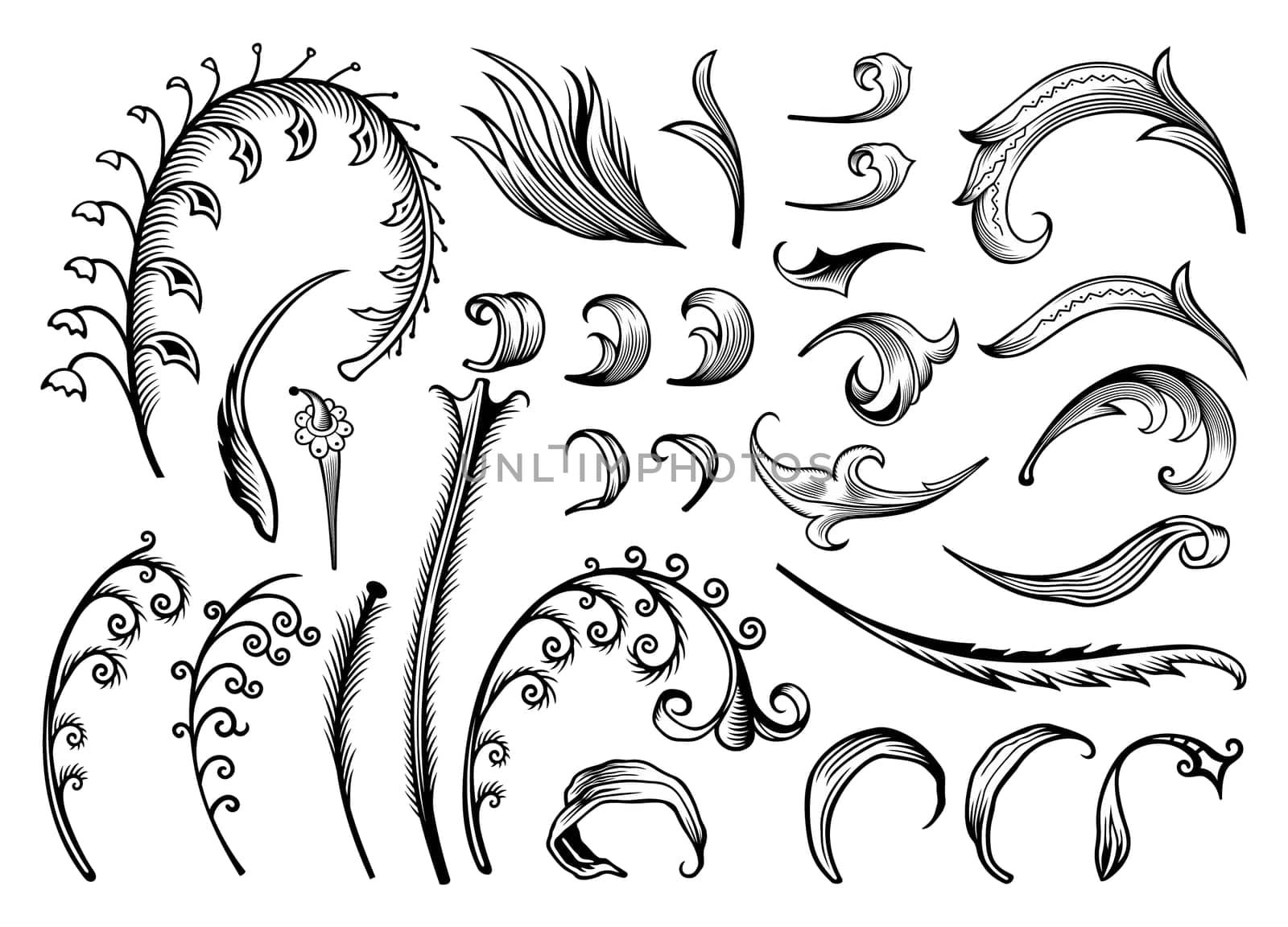Floral hand drawn vector vintage engraved nature elements and objects set