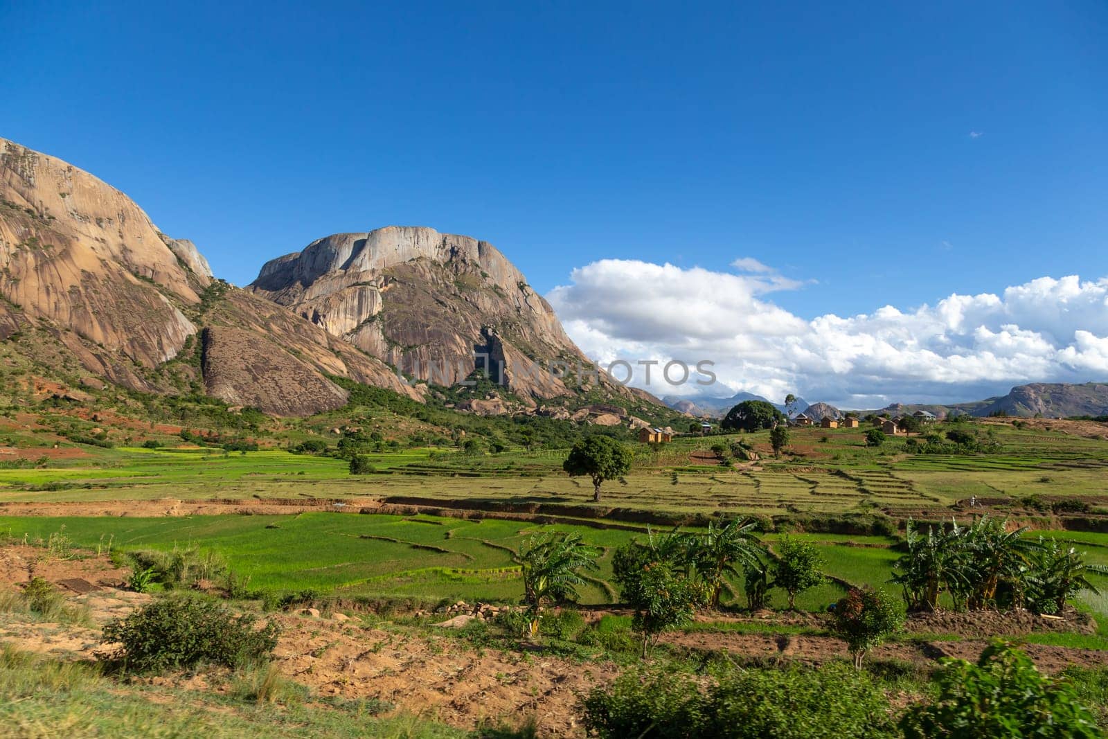 A landscape shot of the island of Madagascar