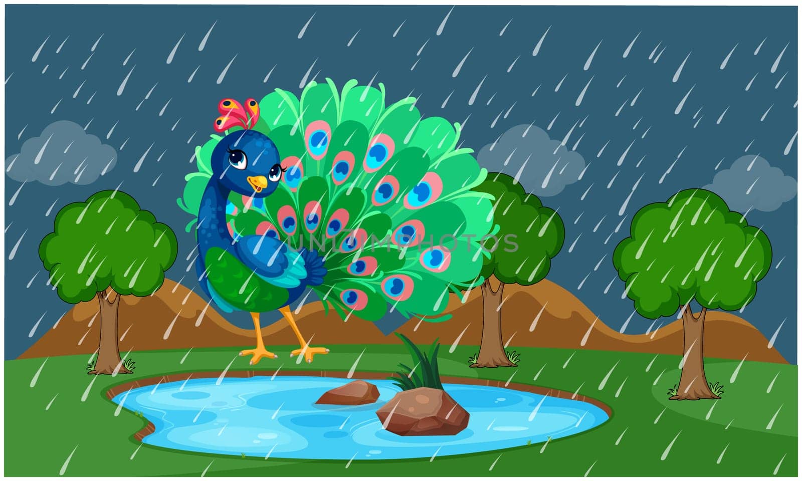 peacock is dancing in a park during rain