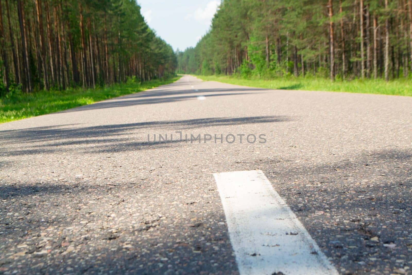 Summer country road with trees beside concept, landscape in Belarus