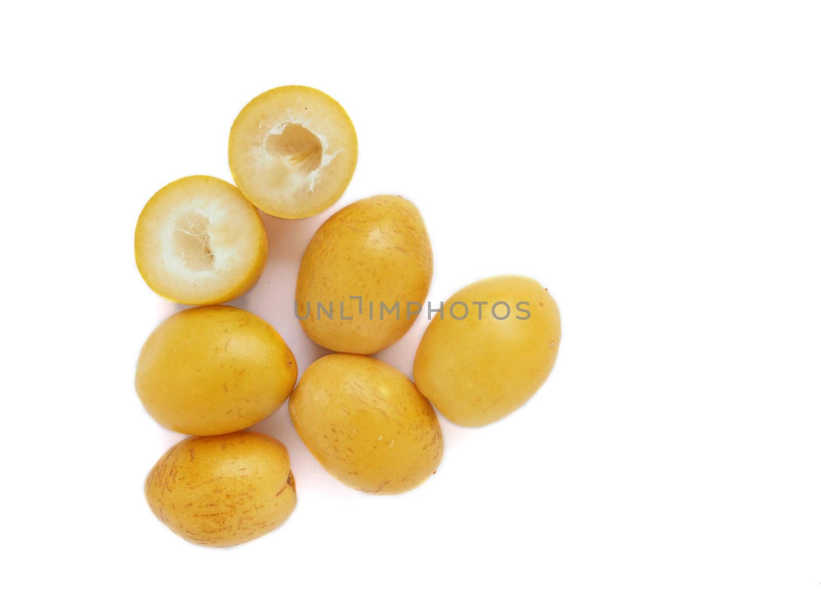 Yellow date palm Isolated on white background