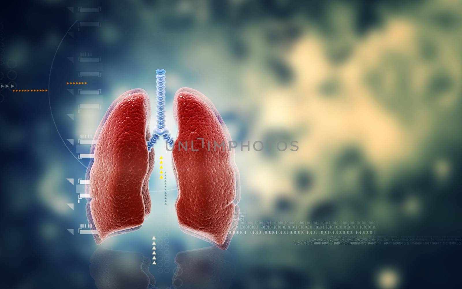Digital illustration of human lungs in colour background