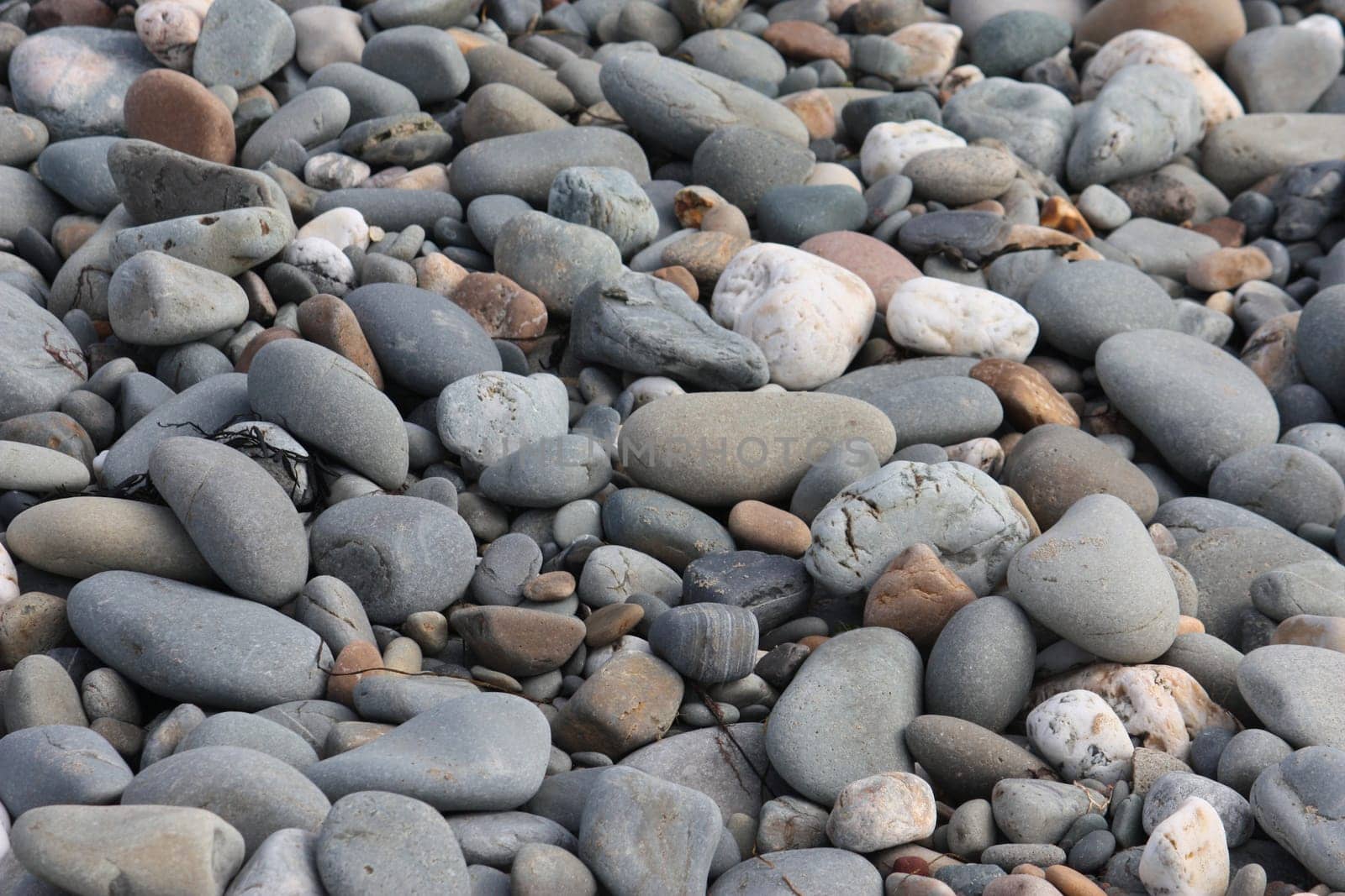 stones and rocks on a sandy beach background