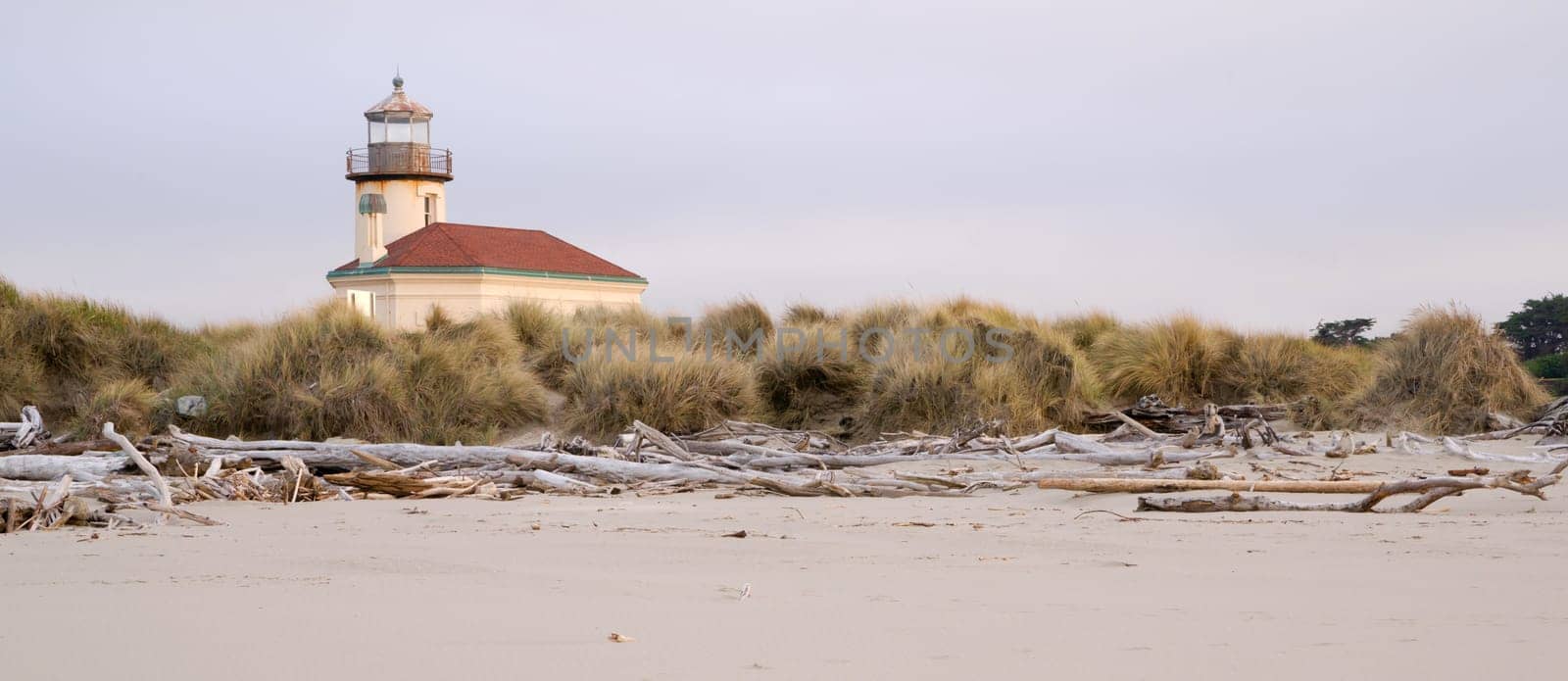Driftwood gathers high on the beach viewed at high low tide