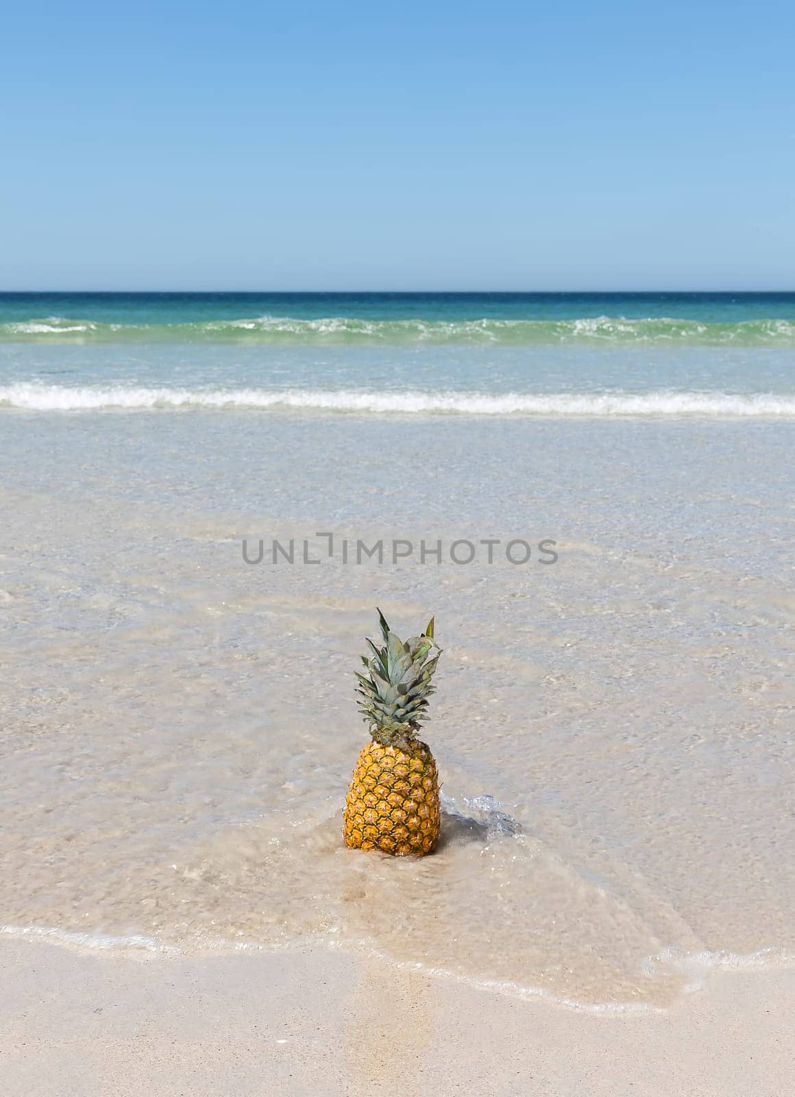 Lonely pineapple on the sand of the beach with the turquoise sea in the background