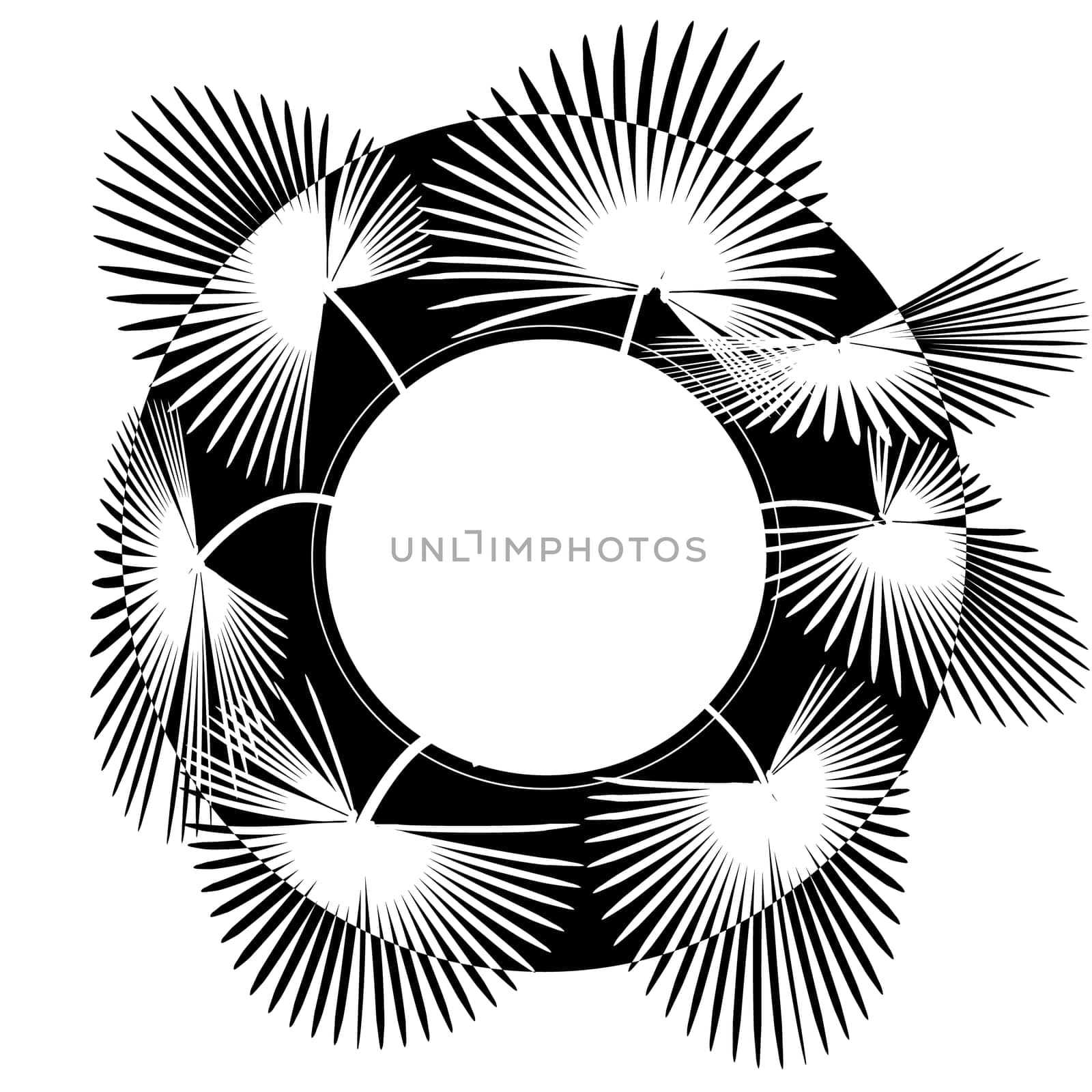 Black-white stylized drawing of palm leaves in a circle. Place for advertisement announcement. Vector illustration