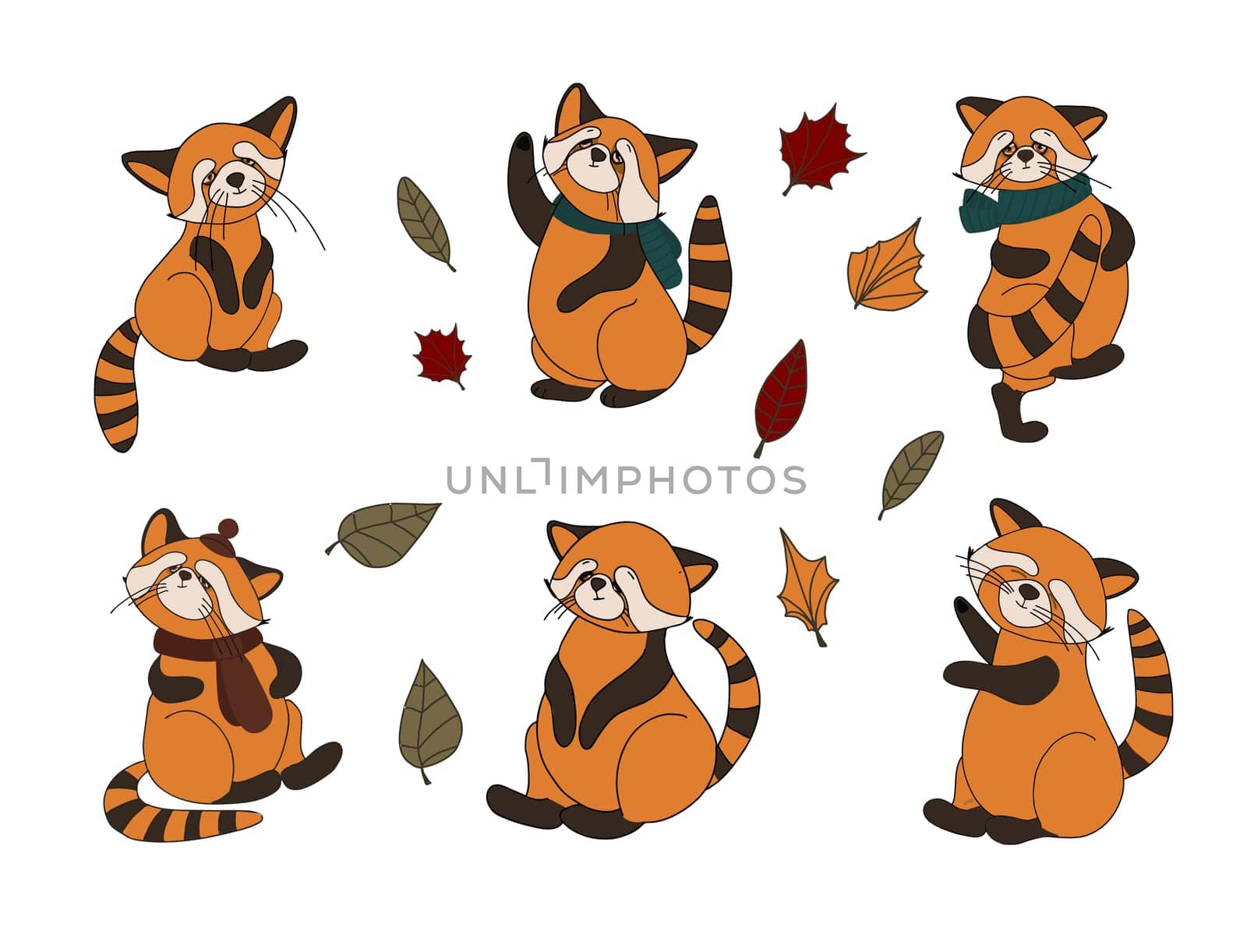Little panda, red panda, cat bear. Character cute beast. Funny animals. Autumn decoration. Vector illustration isolated on white background.