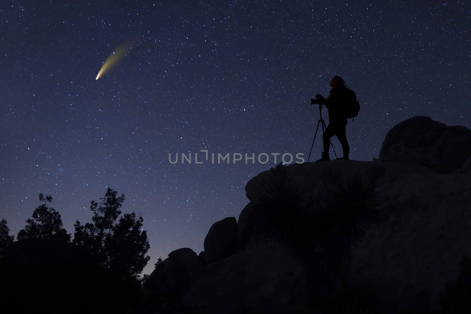 Night Sky Landscape Image of the Stars in the Universe