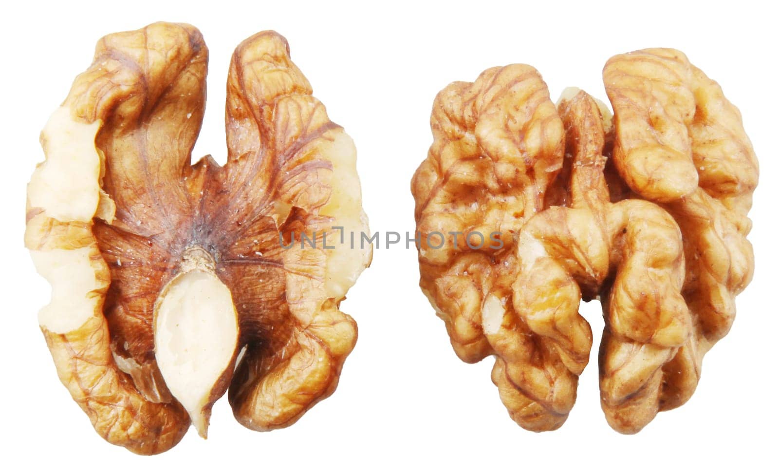 Walnuts Isolated On White Background