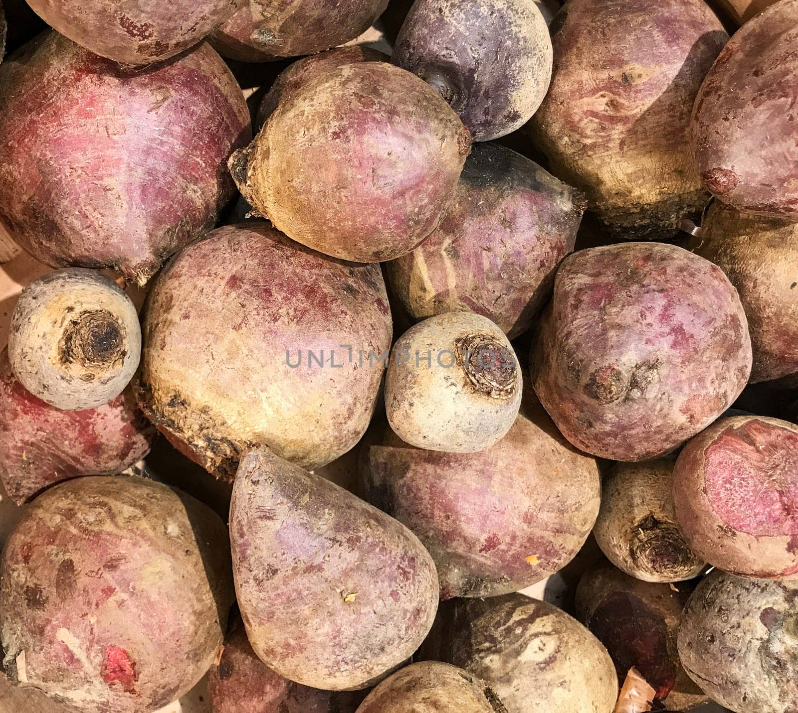 Close-Up Of Whole Beetroot Background
