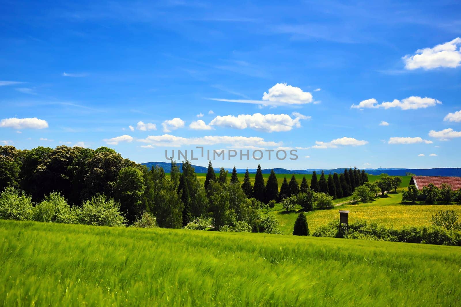 Landscape in the environment of Sulz am Neckar