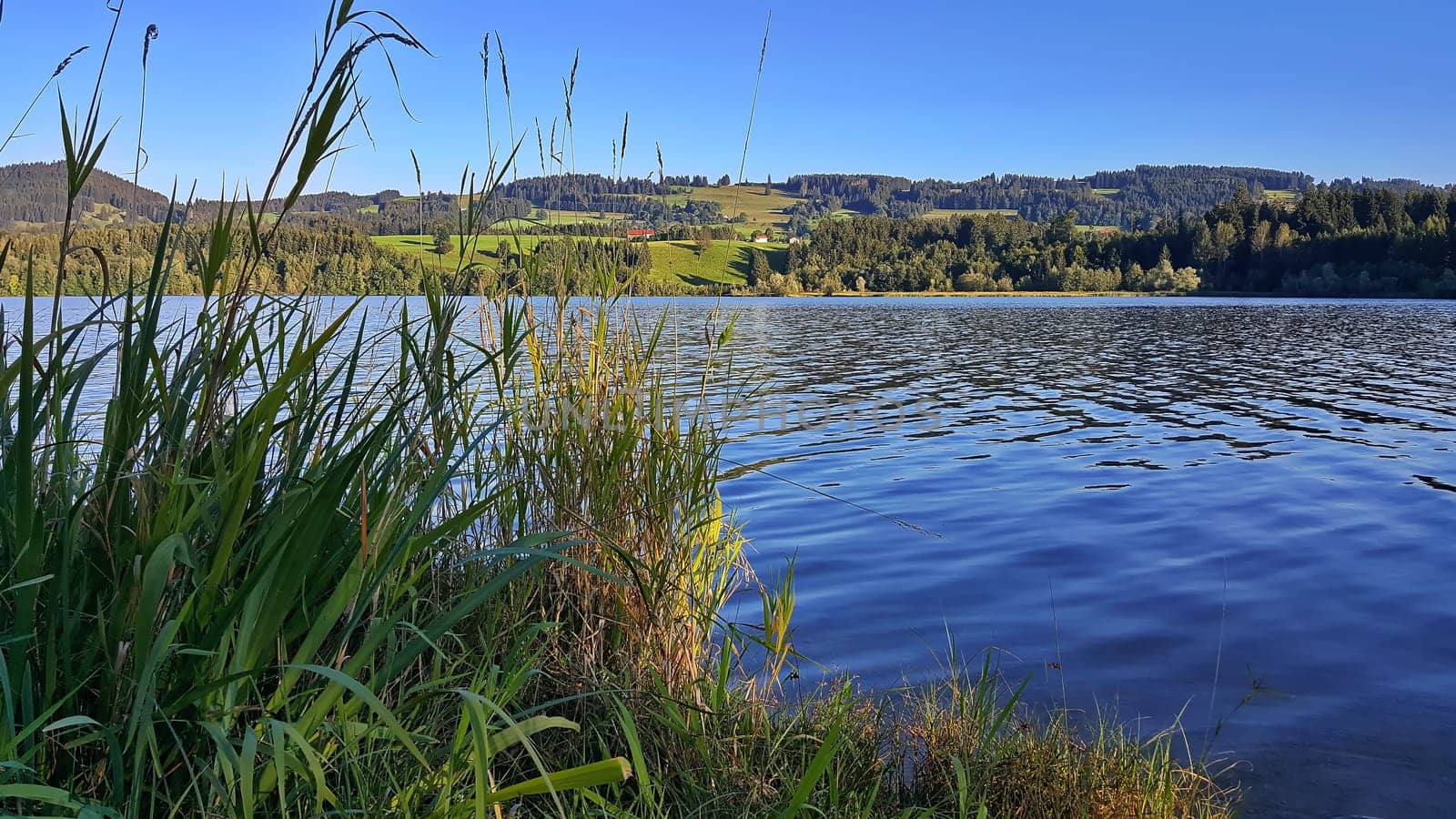 The Rottachsee near Sulzberg is a reservoir