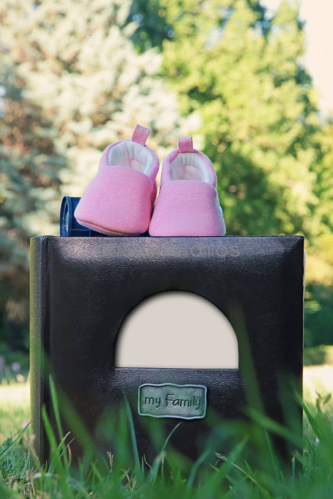Close up family photo album with blank white frame as empty space for picture or text. Beautiful composition with a pair of newborn kid shoes on a photography book outdoors in the grass. Parents day.