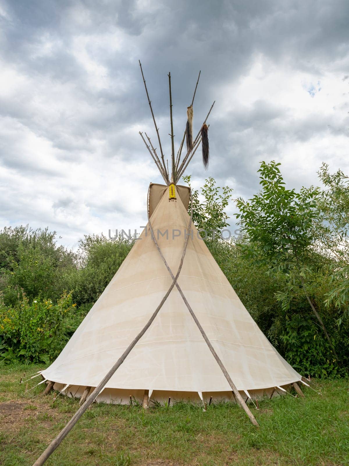 Back of a single Indian tipi stands in a meadow between trees and shrubs in the sunshine