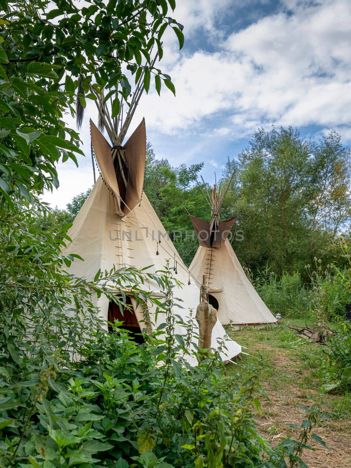 Two Indian tipis stand in a meadow between trees and bushes in the sunshine