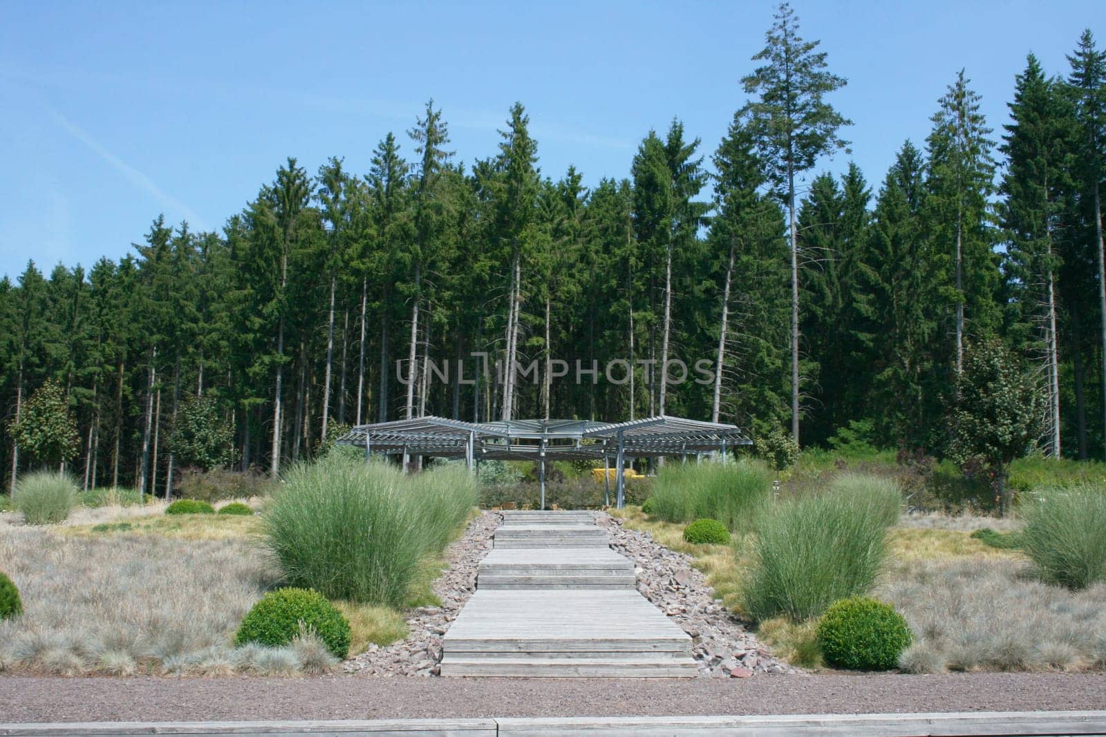 A covered rest area before tall trees .