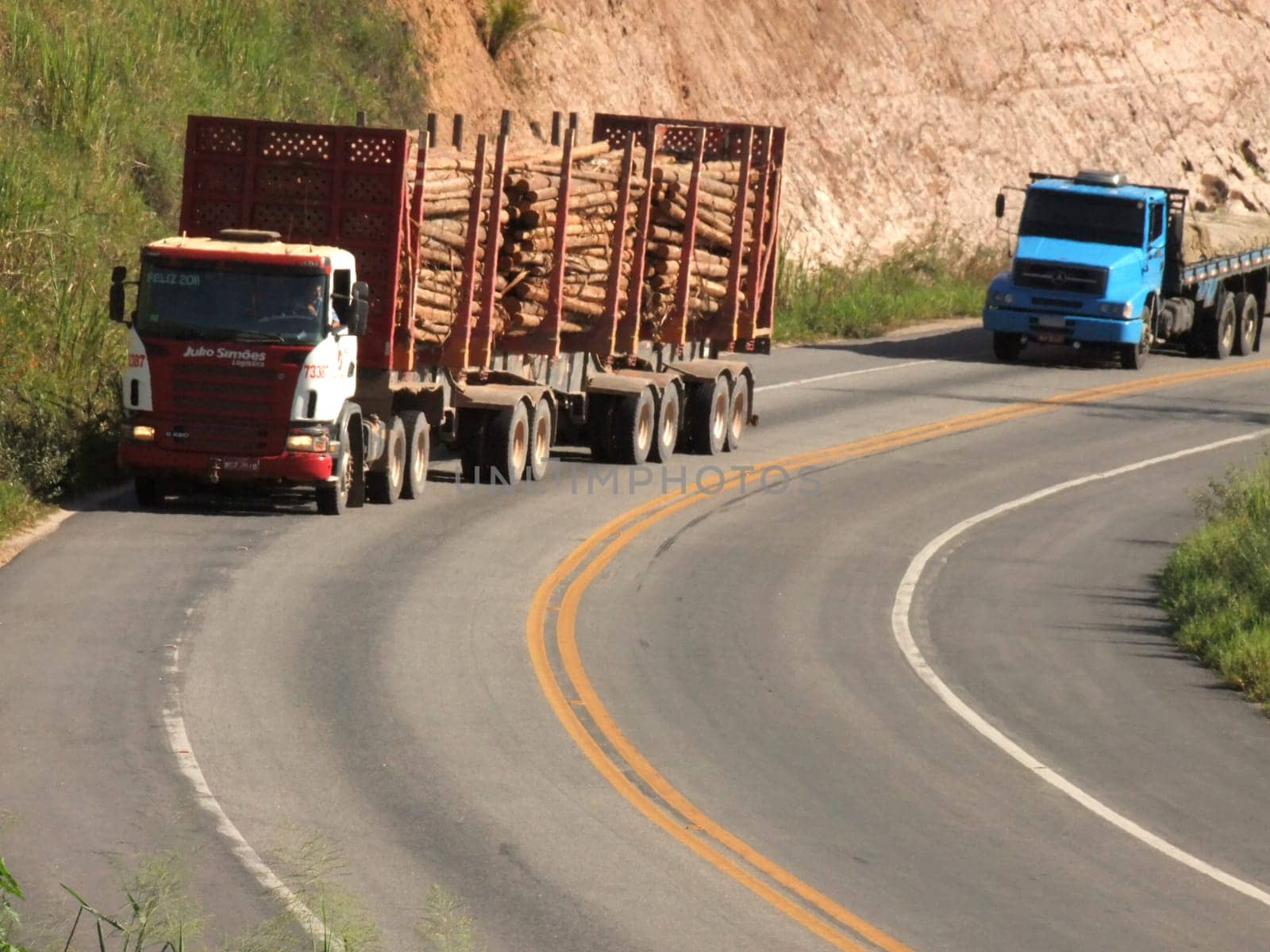 eunapolis, bahia / brazil - april 5, 2011: eucalyptus wood transport cart is seen traveling on highway BR 101 in the city of eunapolis, in southern Bahia.