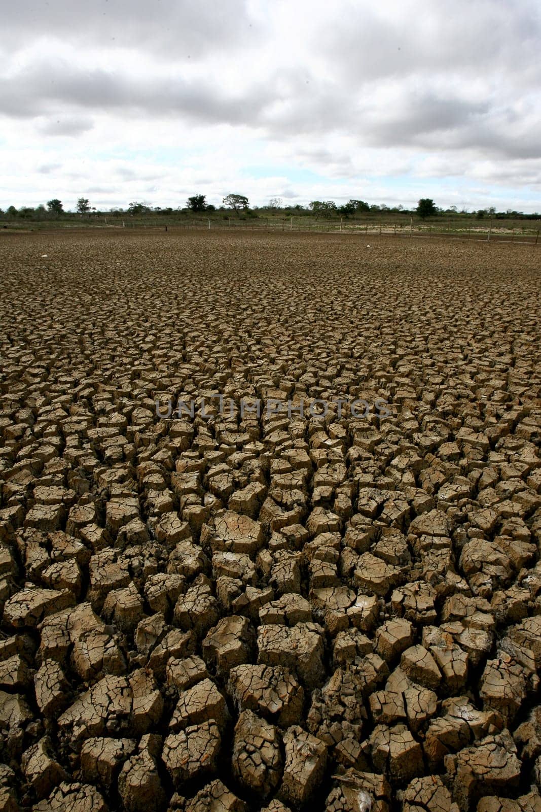 vitoria da conquist, bahia / brazil - october 28, 2011: dry land in a place where a weir worked in the rural area of the city of Vitoria da Conquista.