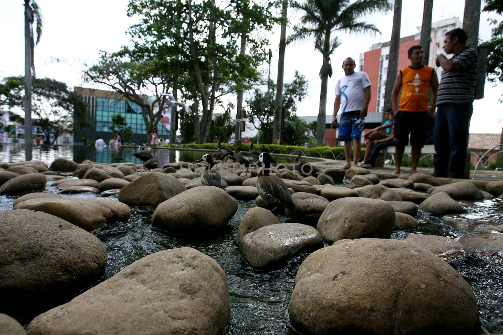 vitoria da conquist, bahia / brazil - october 28, 2011: people are seen by the lake in Tancredo Neves square in the city of Vitoria da Conquista..