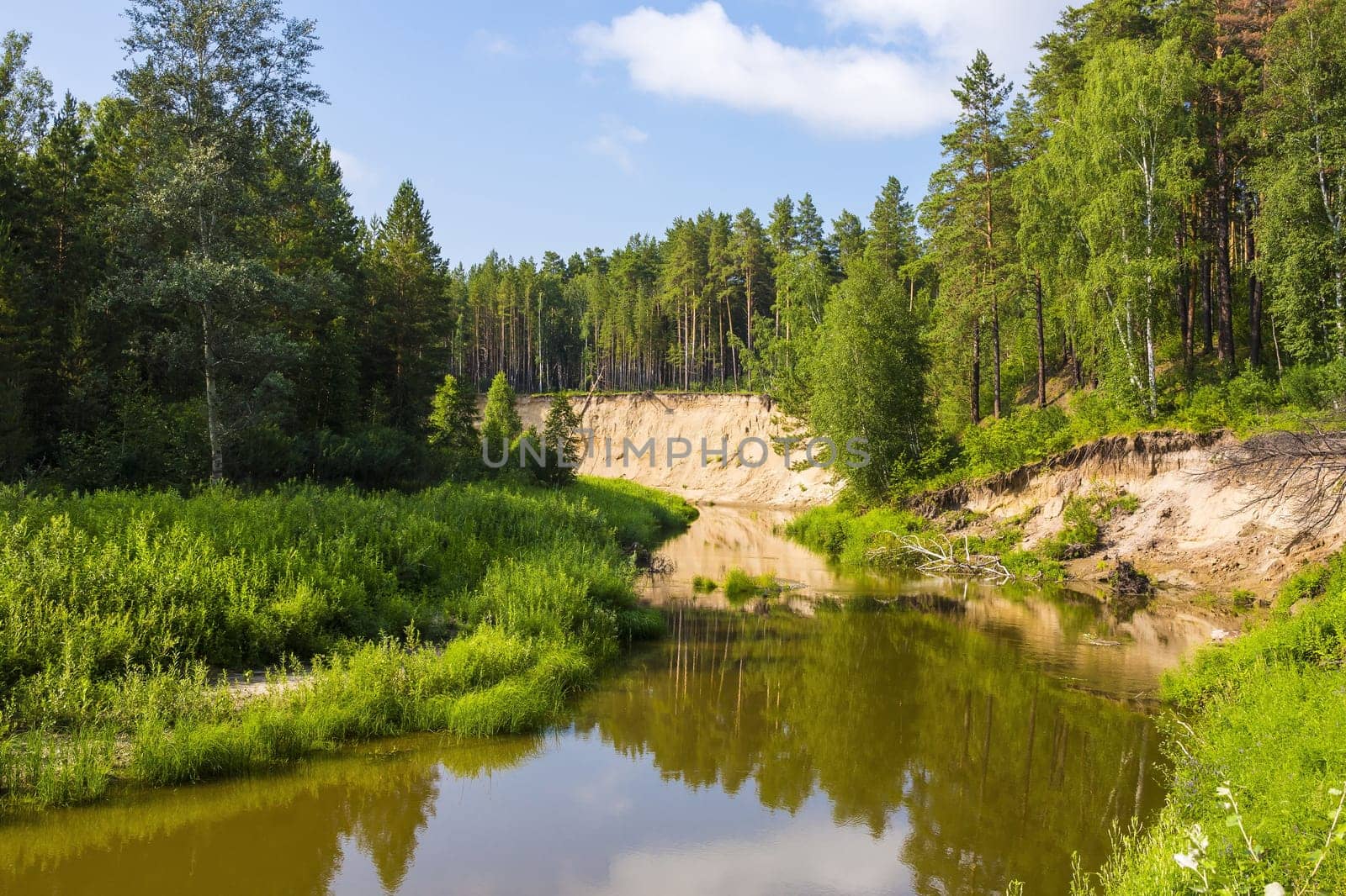 Karakan river in Siberia, Novosibirsk oblast, Russia. Summer view of the river with pines on the shore