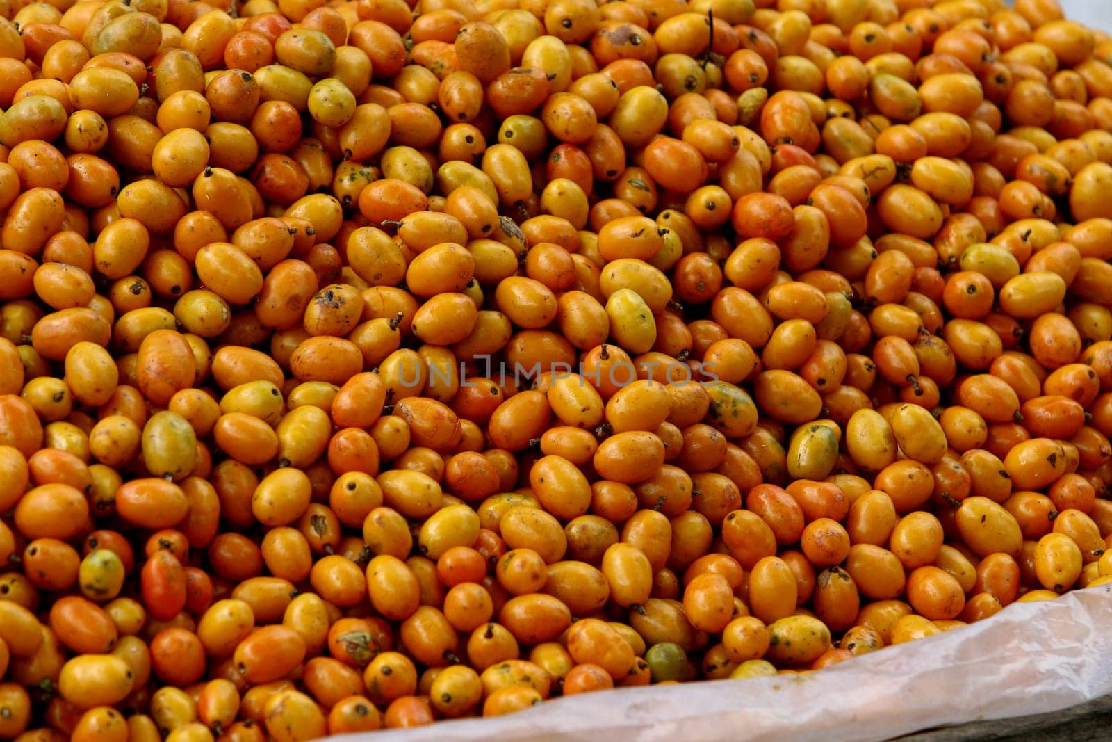 itabuna, bahia / brazil - november 22, 2011: caja fruit is seen for sale in the city of Itabuna in southern Bahia.