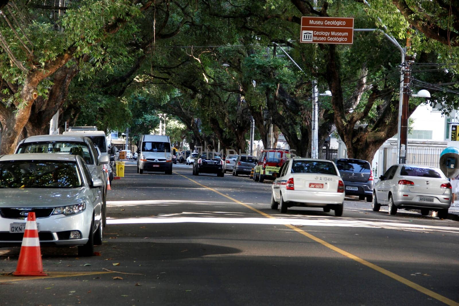 salvador, bahia / brazil - march 23, 2013: vehicles are seen on a tree-lined street in the Corredor da Vitoria in the city of Salvador.