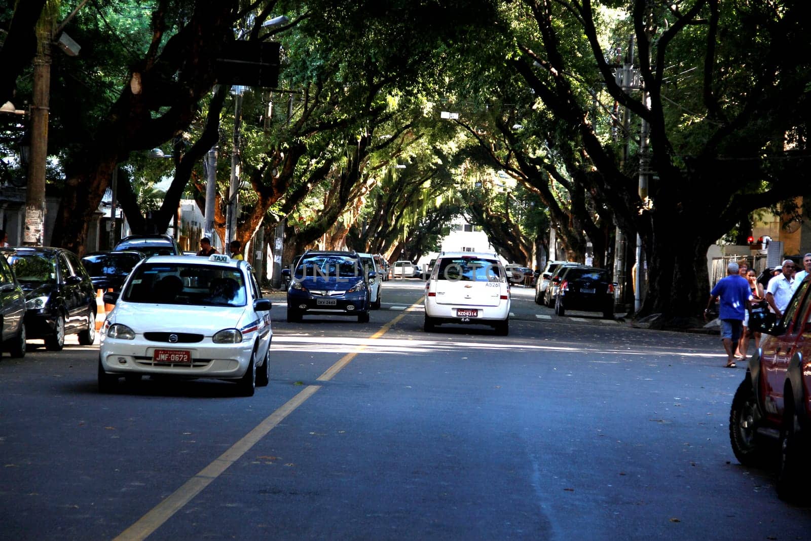 salvador, bahia / brazil - march 23, 2013: vehicles are seen on a tree-lined street in the Corredor da Vitoria in the city of Salvador.