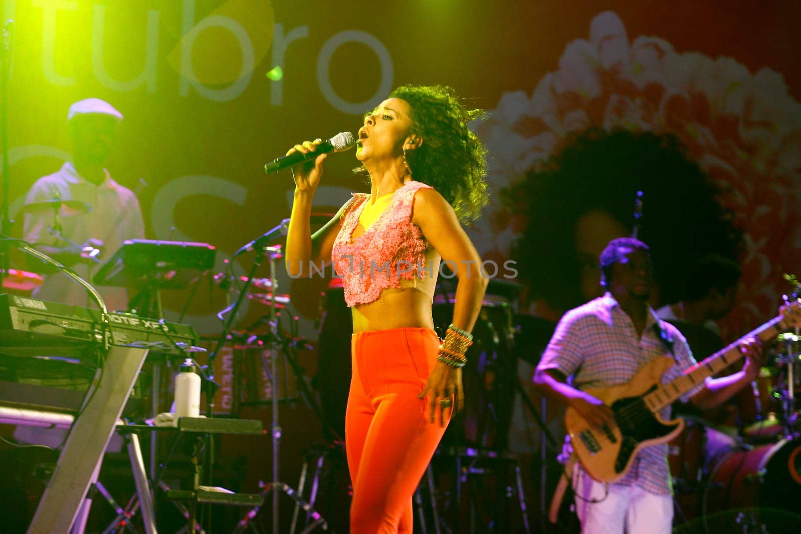 salvador, bahia / brazil - october 1, 2014: singer Ana Mametto is seen during a performance at Parque Costa Azul in the city of Salvador.