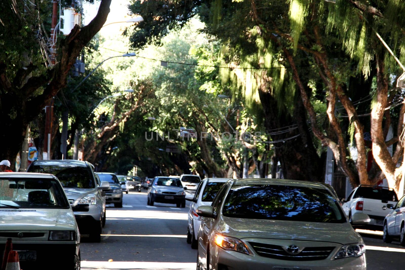 salvador, bahia / brazil - march 23, 2013: vehicles are seen on a tree-lined street in the Corredor da Vitoria in the city of Salvador.