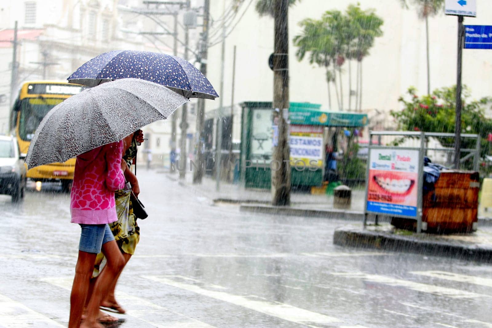 salvador, bahia / brazil - august 26, 2016: People are seen using umbrella during rain in the city of Salvador.