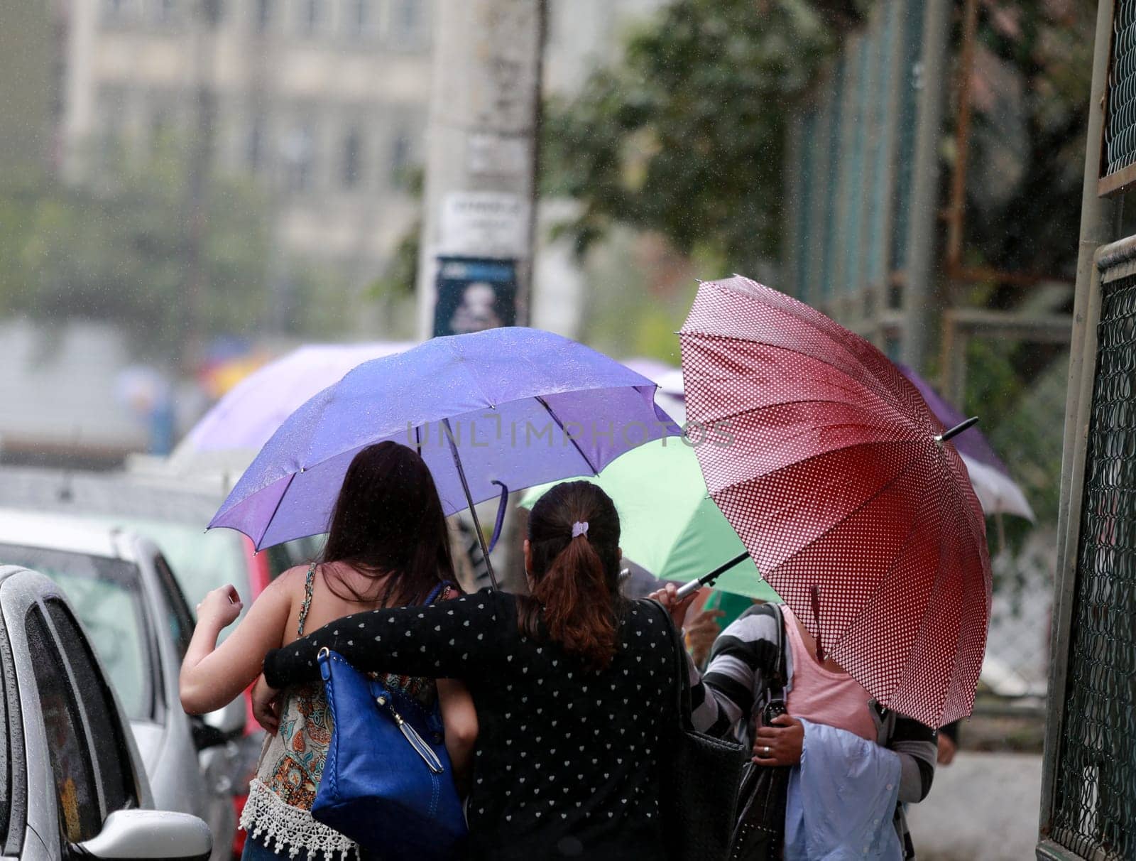 salvador, bahia / brazil - august 26, 2016: People are seen using umbrella during rain in the city of Salvador.