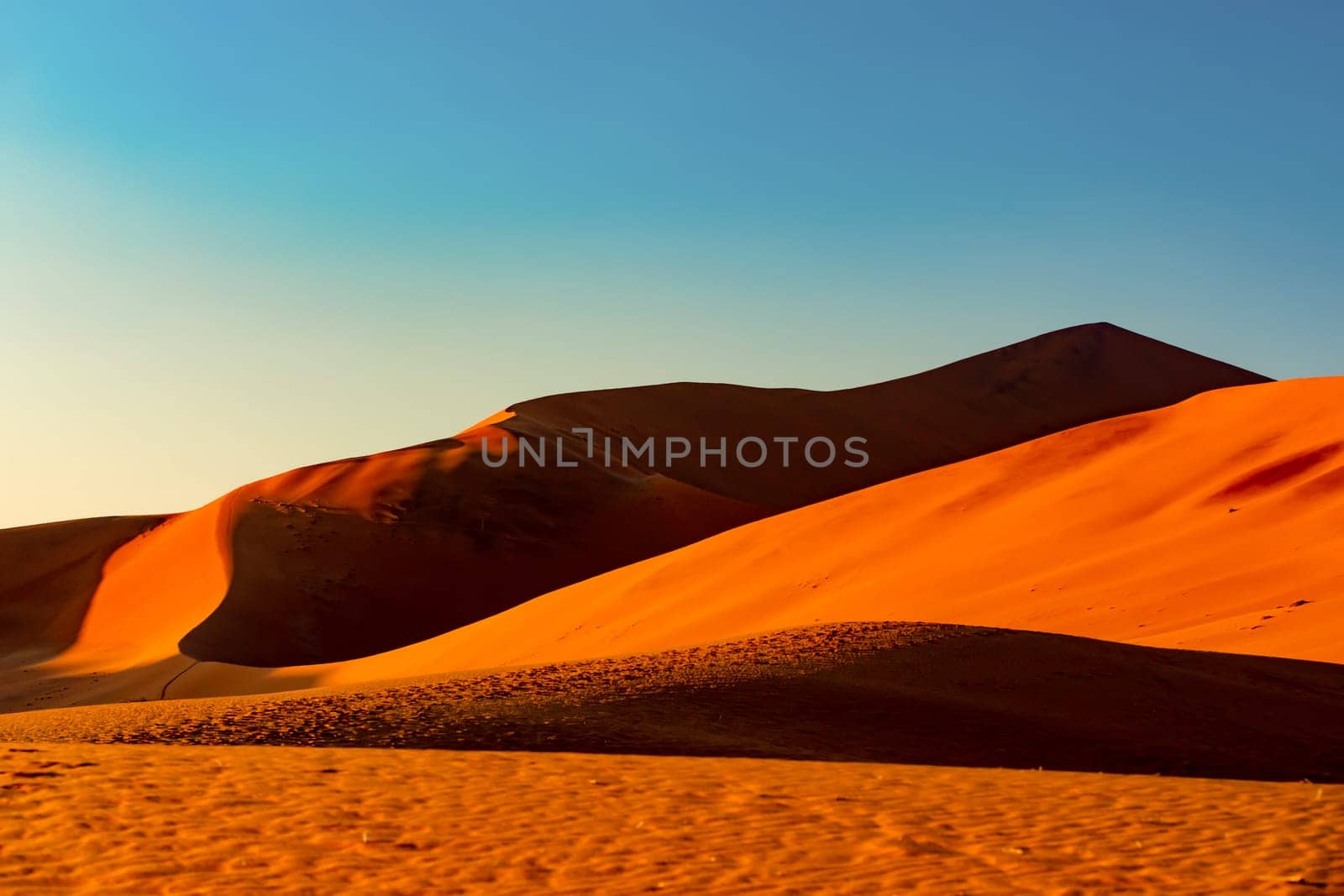 arid dead sunrise landscape, hidden Dead Vlei in Namib desert, dune with morning sun, Namibia, Africa wilderness landscape