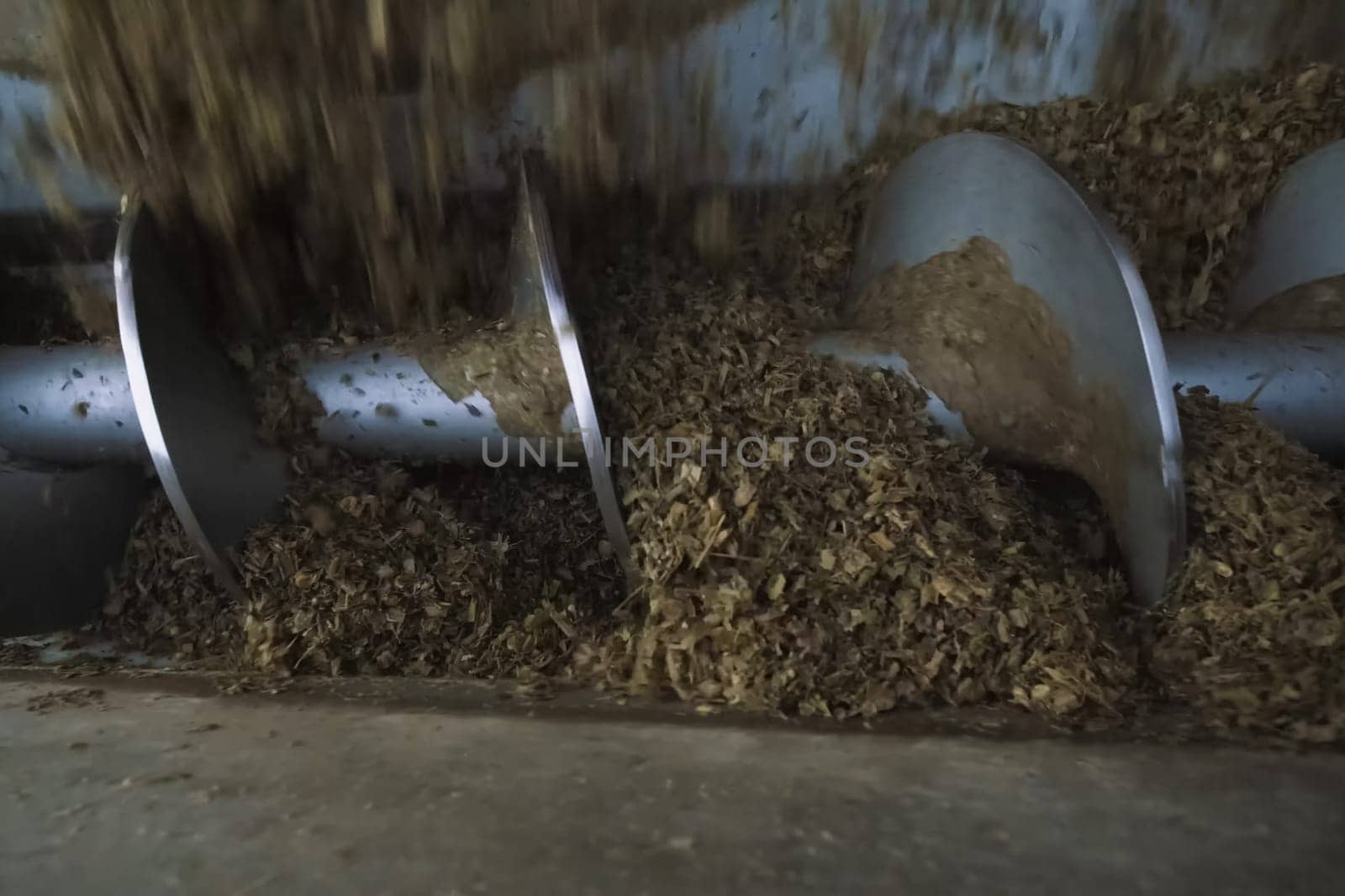 The mill's shkek screw picks up the sawdust for their subsequent transportation to the container.