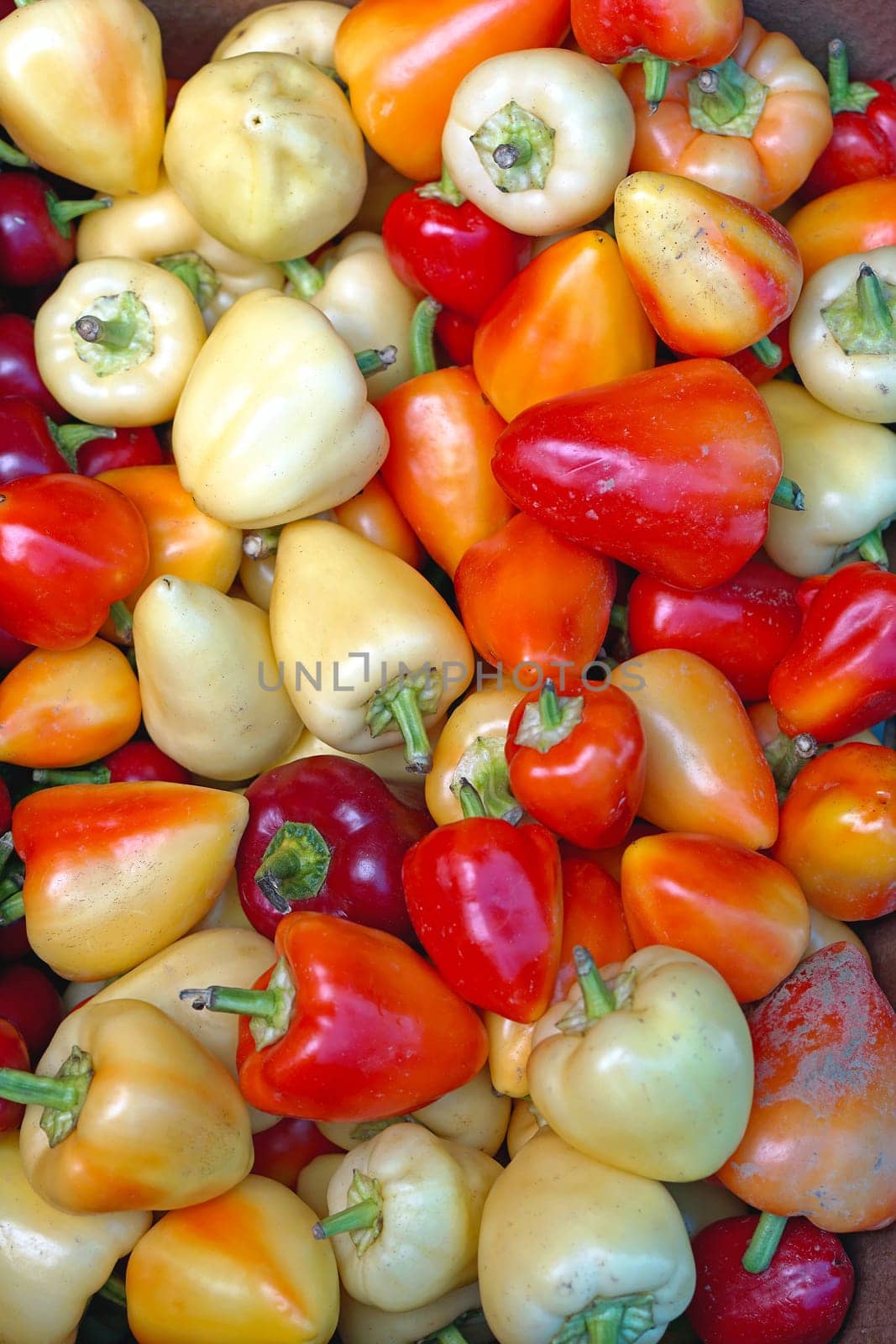 Chili peppers at farmers market