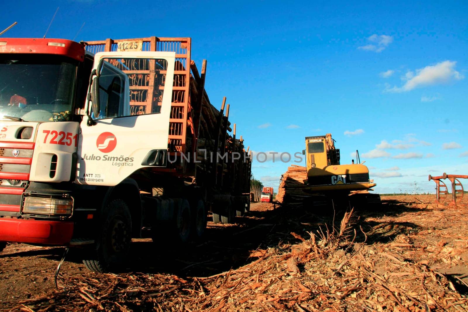 eunapolis, bahia / brazil - july 8, 2011: eucalyptus log transport cart in the rural area of the city of Eunapolis, in southern Bahia.
