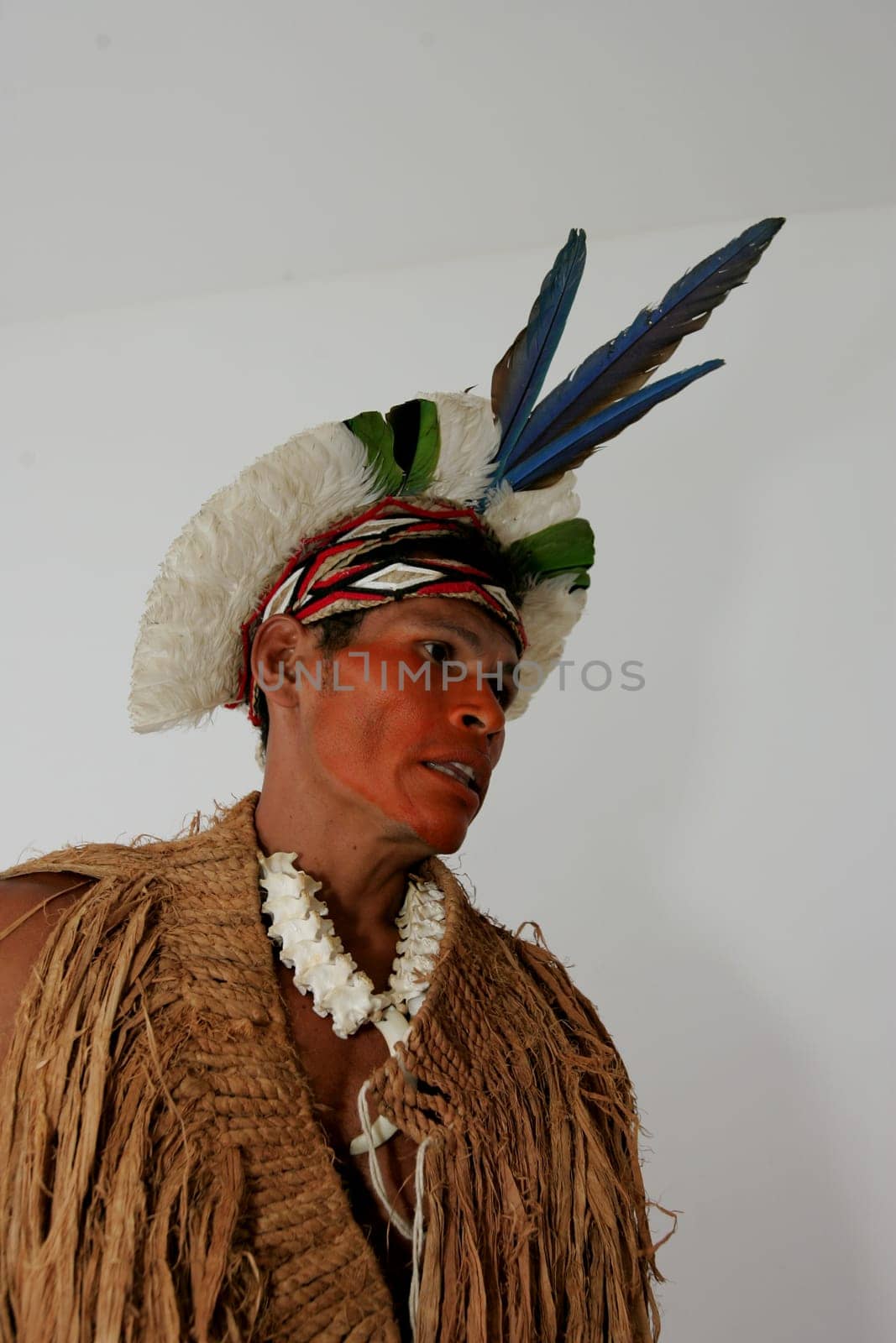 porto Seguro, bahia / brazil - february 4, 2011: indians of Pataxo ethnicity are seen during protest at the National Health Foundation in the city of Porto Seguro.